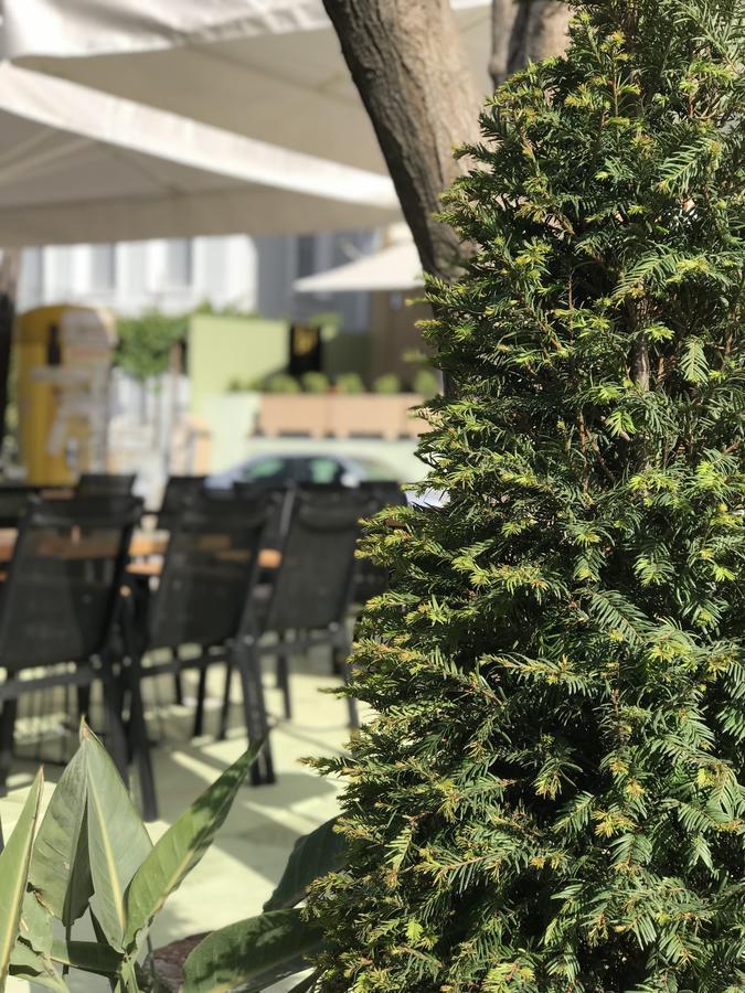 Regina Hotel Ναύπακτος Εξωτερικό φωτογραφία